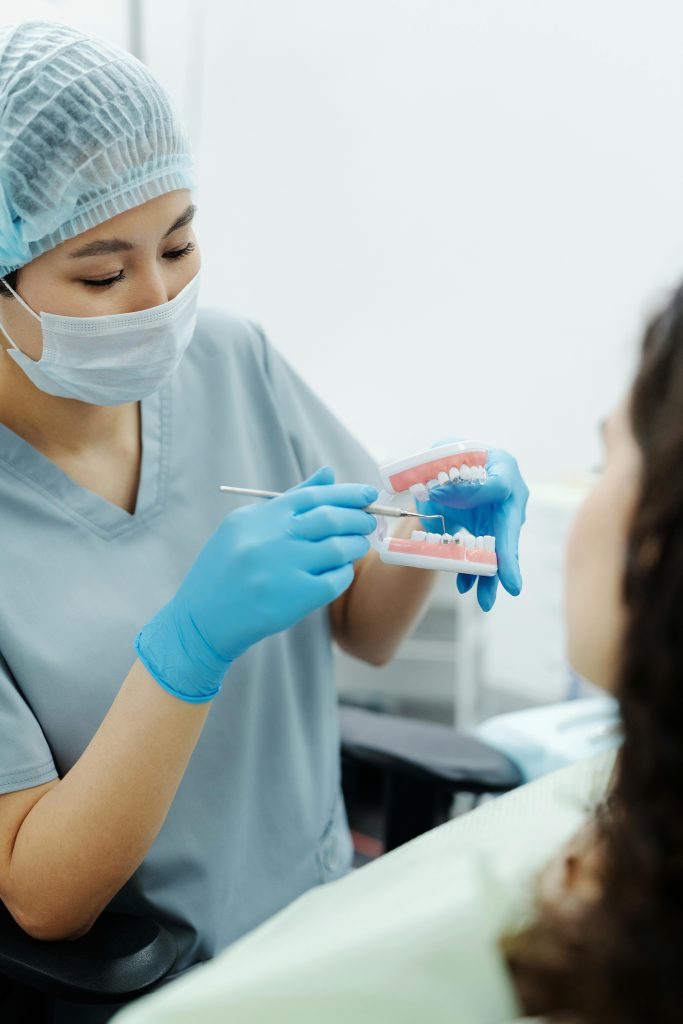 Dentist demonstrating dental care techniques using a model. Ideal for healthcare and education visuals.